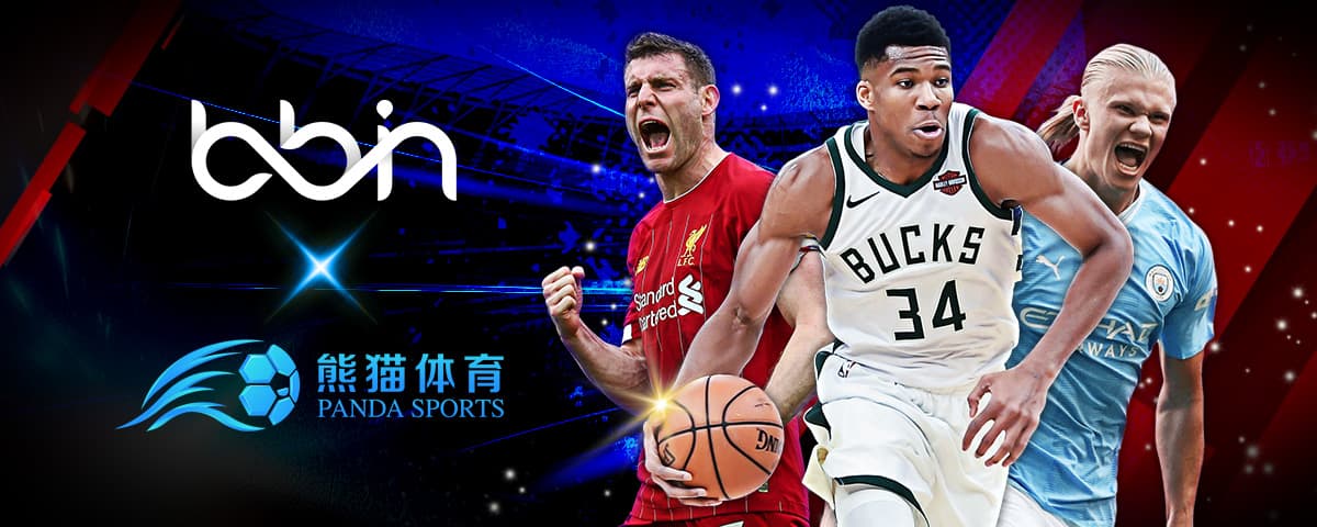 业实力与潜